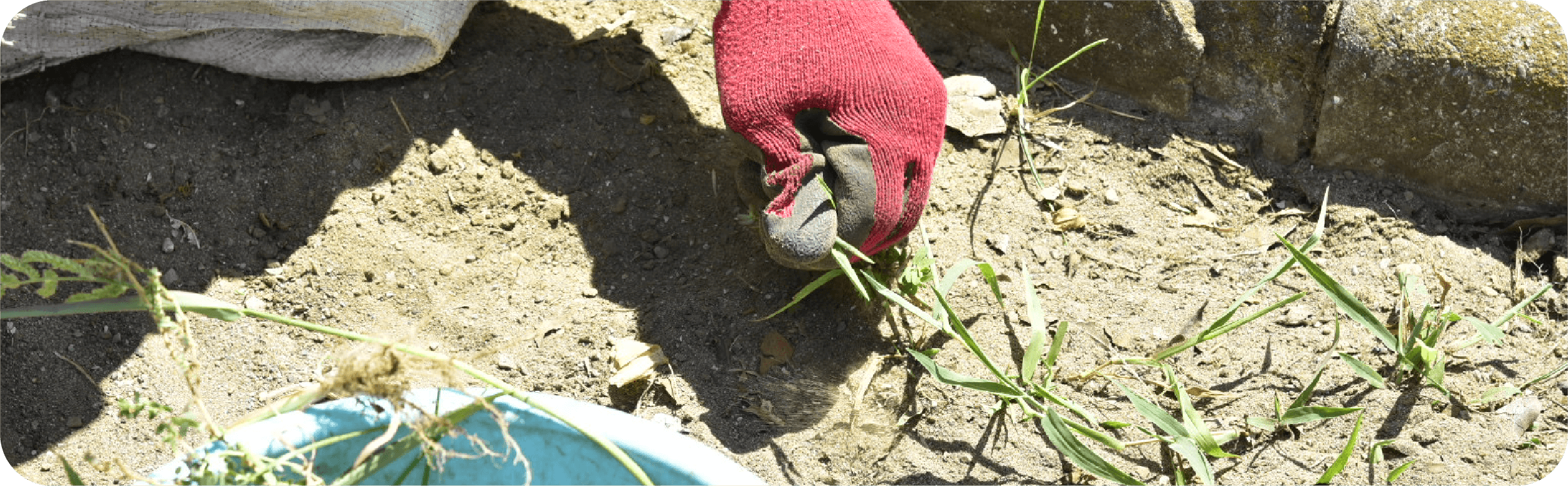 地域清掃活動のイメージ
